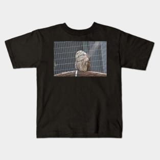 Owl in Sunlight Kids T-Shirt